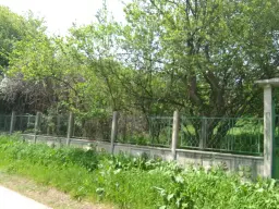 Lion's huis, bijgebouw en 1.050 m² grond in Rakovitsa, Vidin - Bulgarije