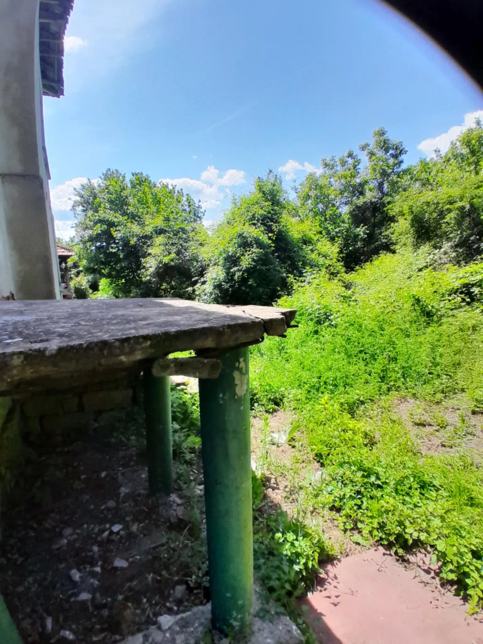 Lion's huis, bijgebouw en 1.050 m² grond in Rakovitsa, Vidin - Bulgarije
