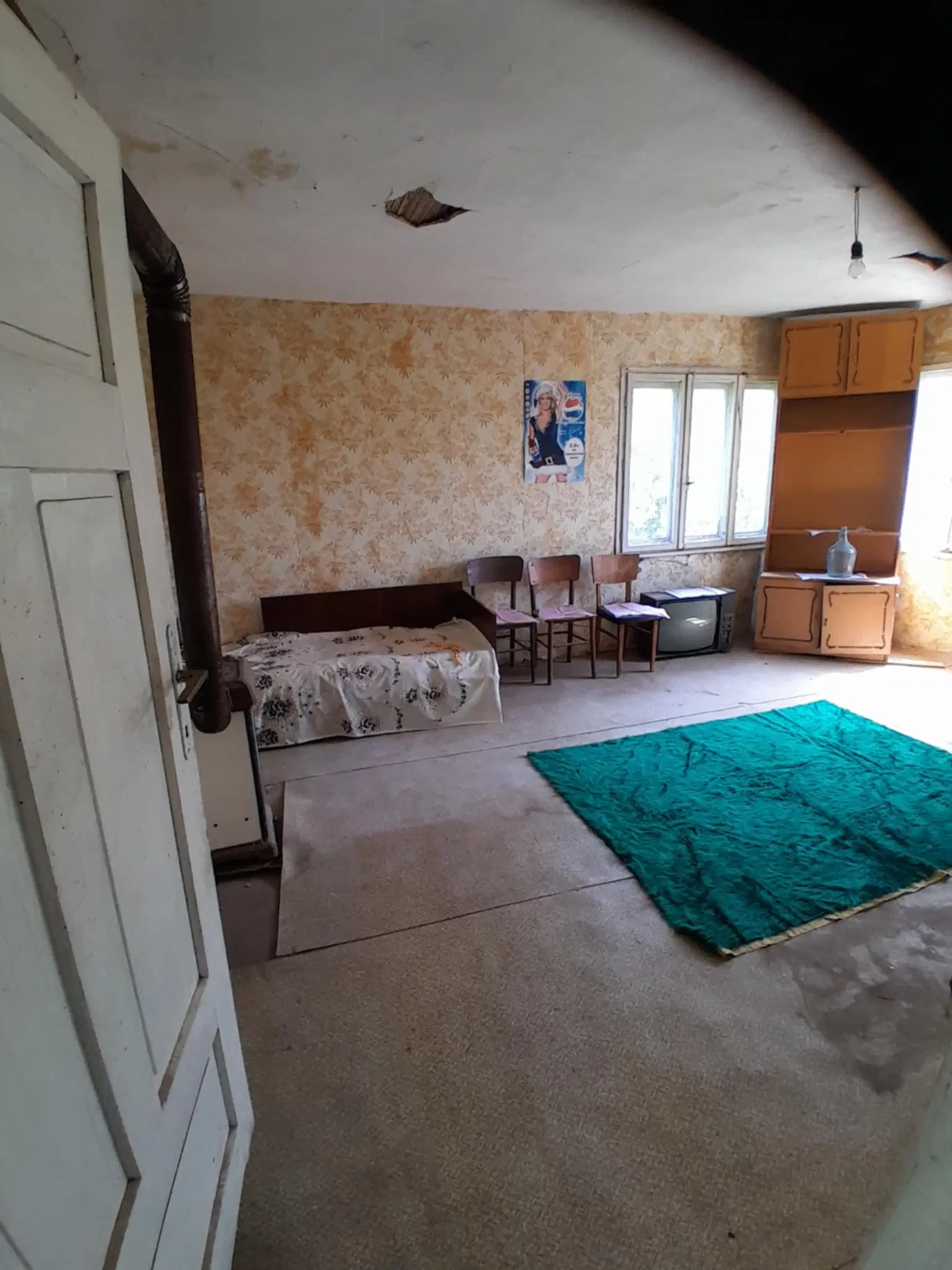 Lion's huis, bijgebouw en 1.050 m² grond in Rakovitsa, Vidin - Bulgarije