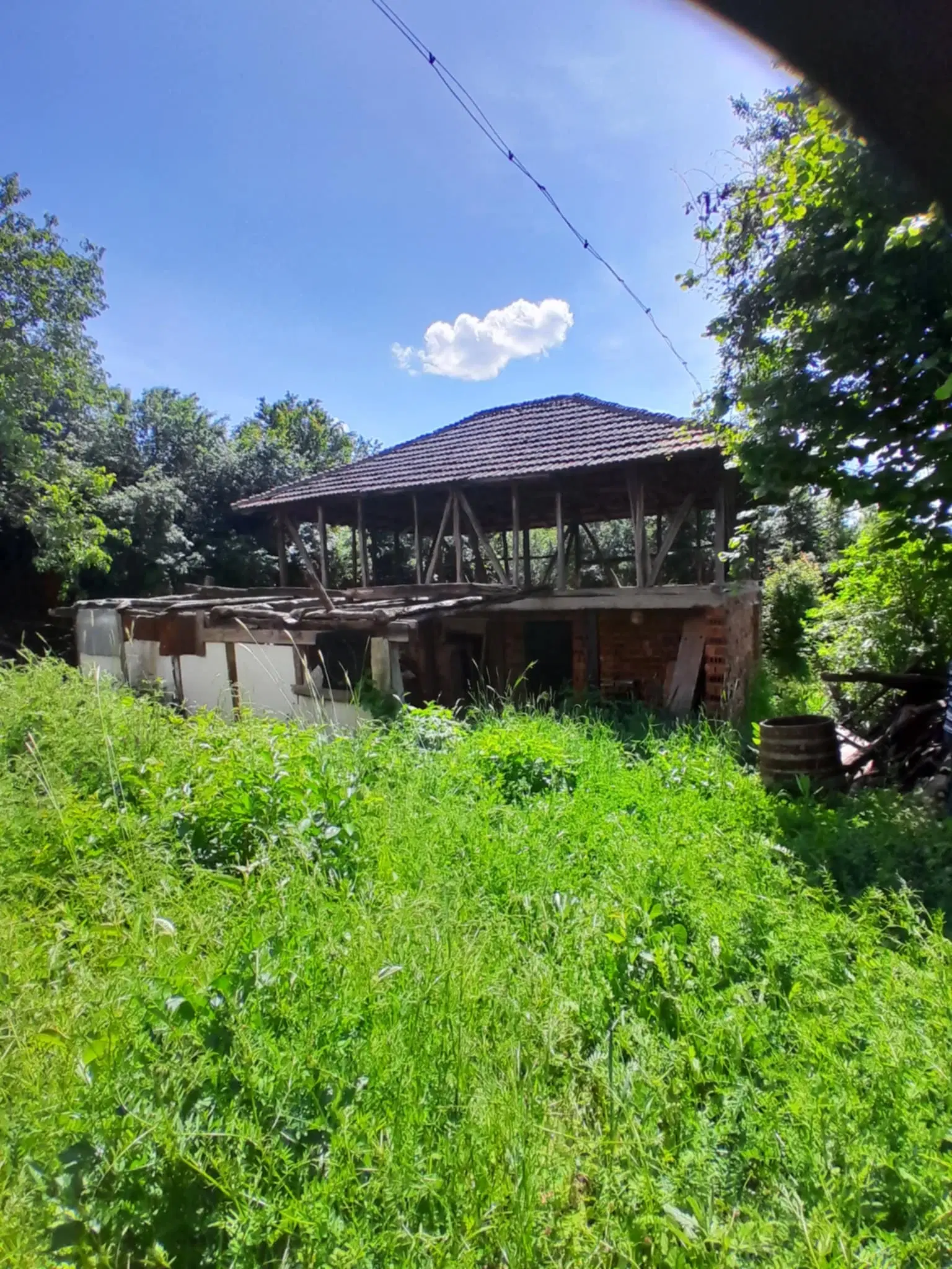 Lion's huis, bijgebouw en 1.050 m² grond in Rakovitsa, Vidin - Bulgarije