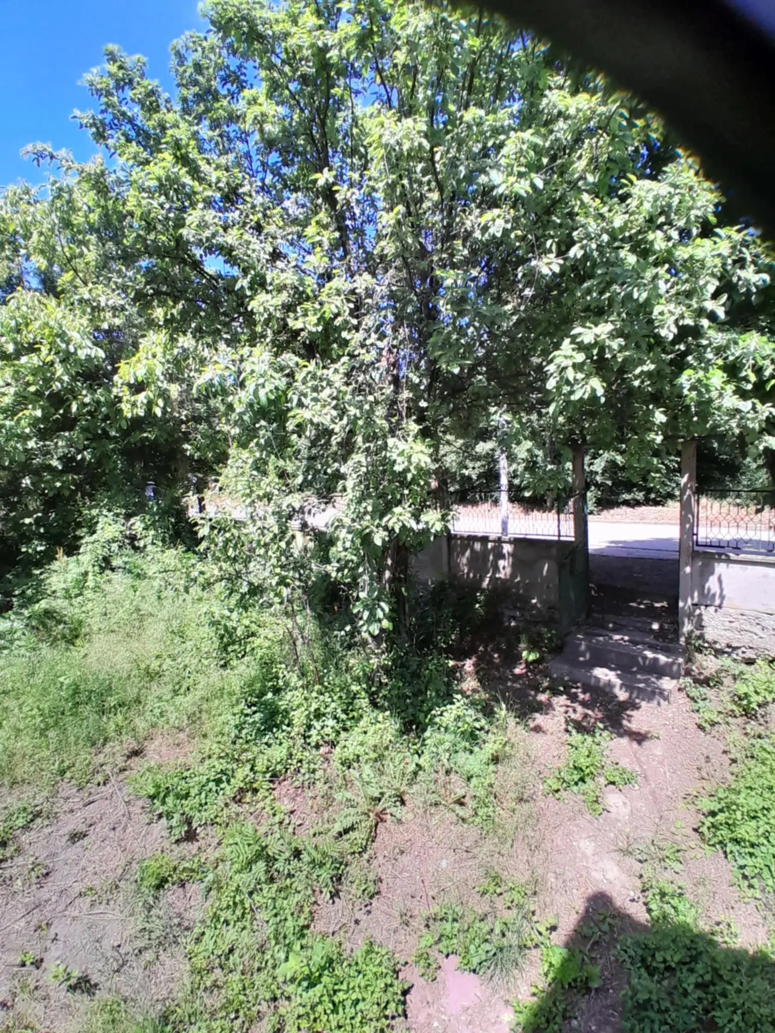 Lion's huis, bijgebouw en 1.050 m² grond in Rakovitsa, Vidin - Bulgarije
