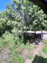 Lion's huis, bijgebouw en 1.050 m² grond in Rakovitsa, Vidin - Bulgarije