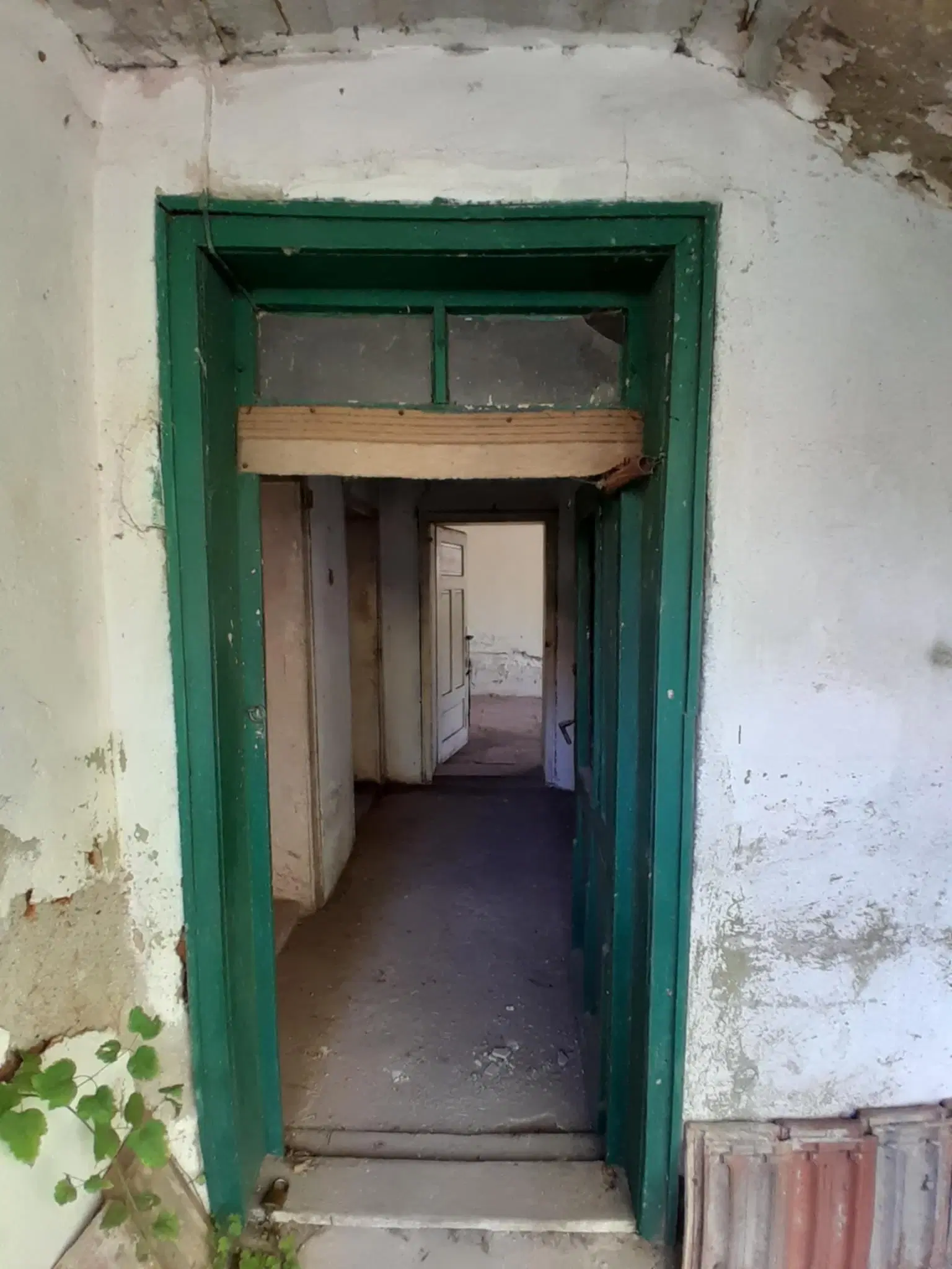 Lion's huis, bijgebouw en 1.050 m² grond in Rakovitsa, Vidin - Bulgarije