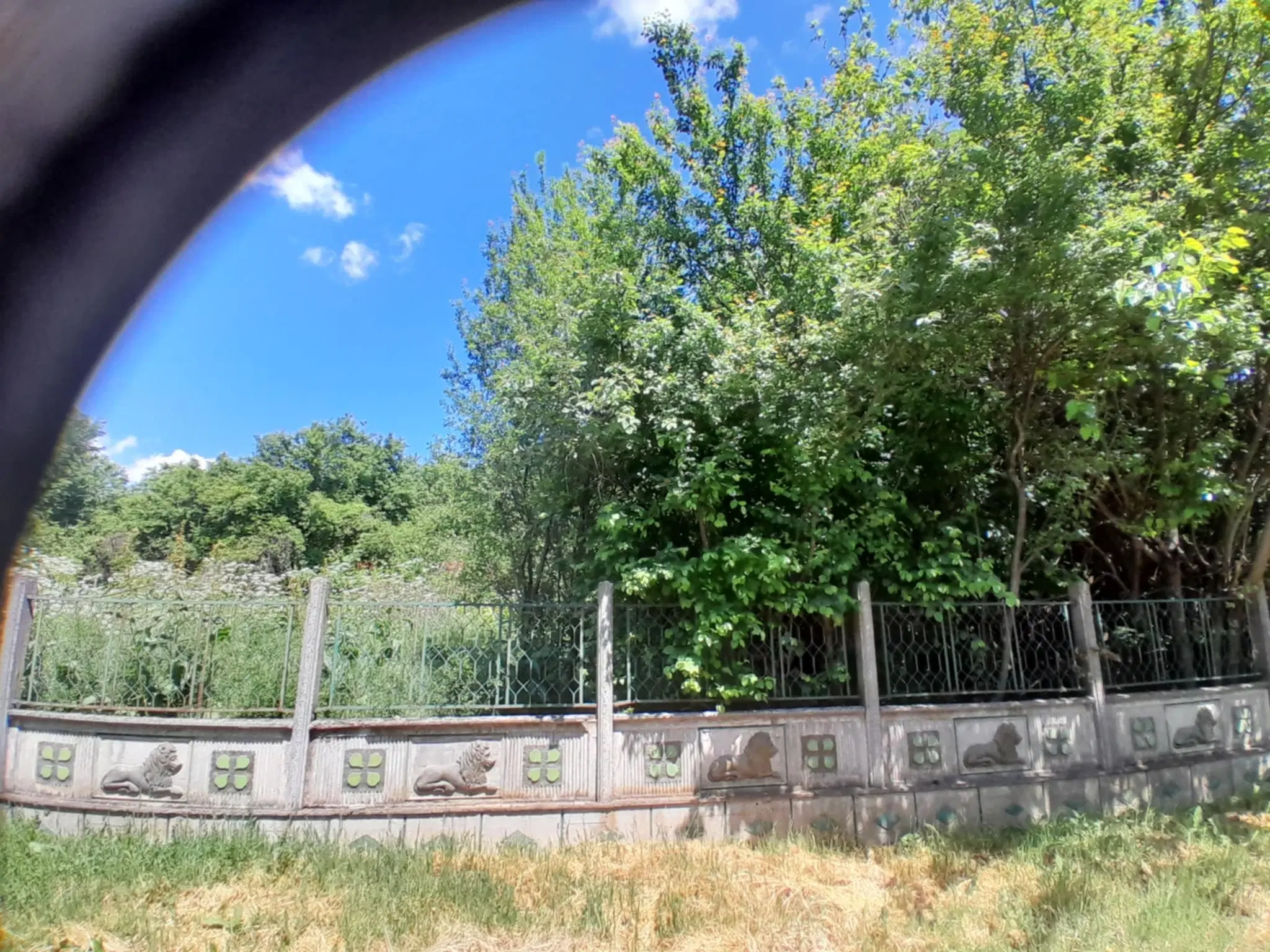 Lion's huis, bijgebouw en 1.050 m² grond in Rakovitsa, Vidin - Bulgarije