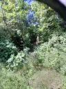 Lion's huis, bijgebouw en 1.050 m² grond in Rakovitsa, Vidin - Bulgarije