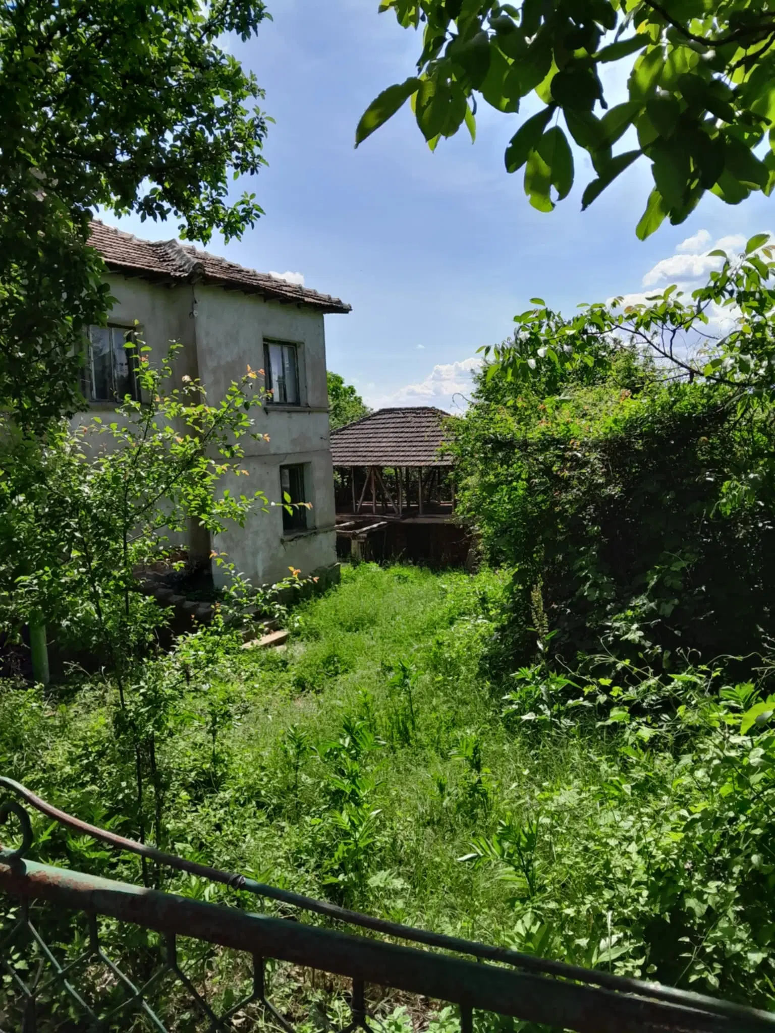 Lion's huis, bijgebouw en 1.050 m² grond in Rakovitsa, Vidin - Bulgarije