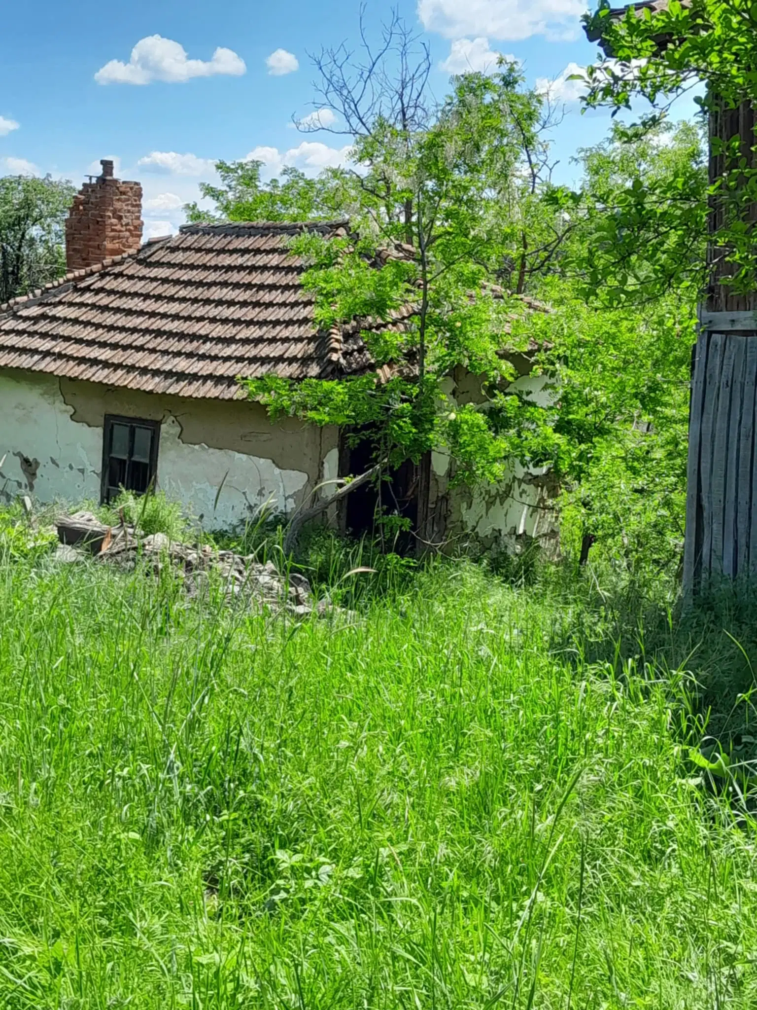 Eigendom aan de rivier met 2 huizen, bijgebouw en 1.100 m² grond in Podgore, Vidin - Bulgarije