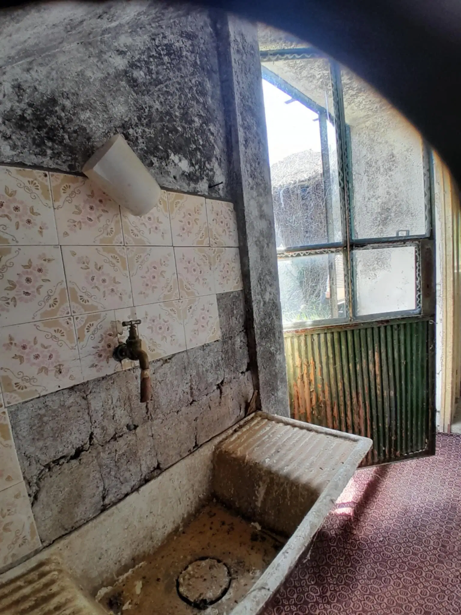 Eigendom aan de rivier met 2 huizen, bijgebouw en 1.100 m² grond in Podgore, Vidin - Bulgarije