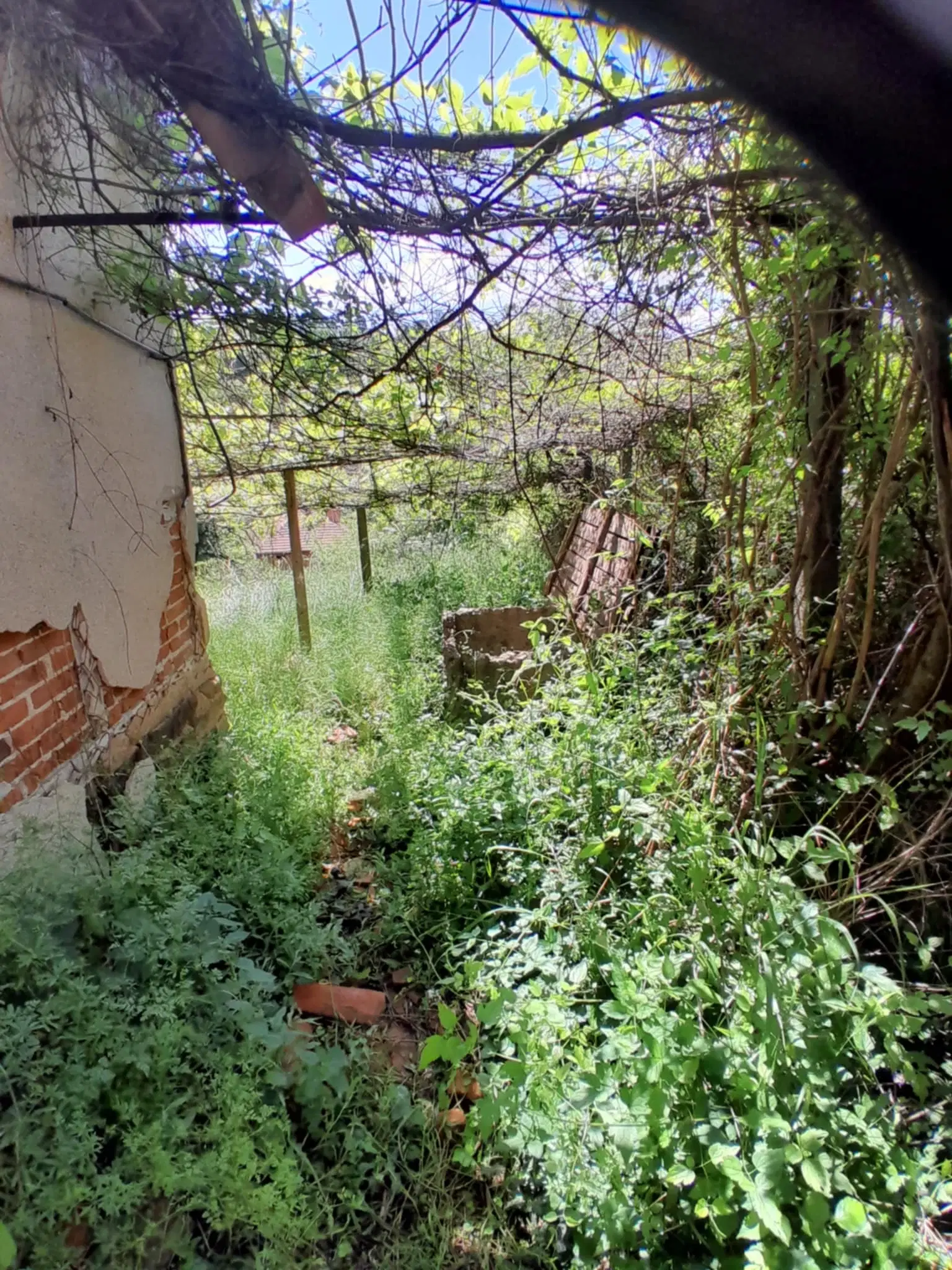 Eigendom aan de rivier met 2 huizen, bijgebouw en 1.100 m² grond in Podgore, Vidin - Bulgarije