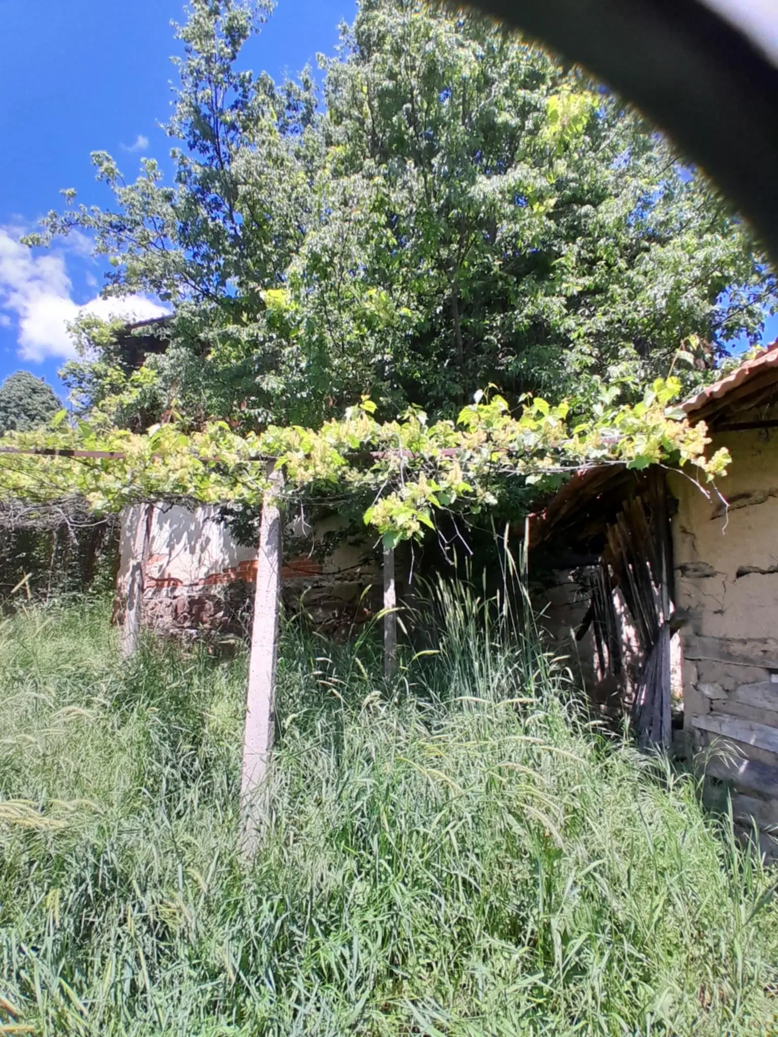 Eigendom aan de rivier met 2 huizen, bijgebouw en 1.100 m² grond in Podgore, Vidin - Bulgarije