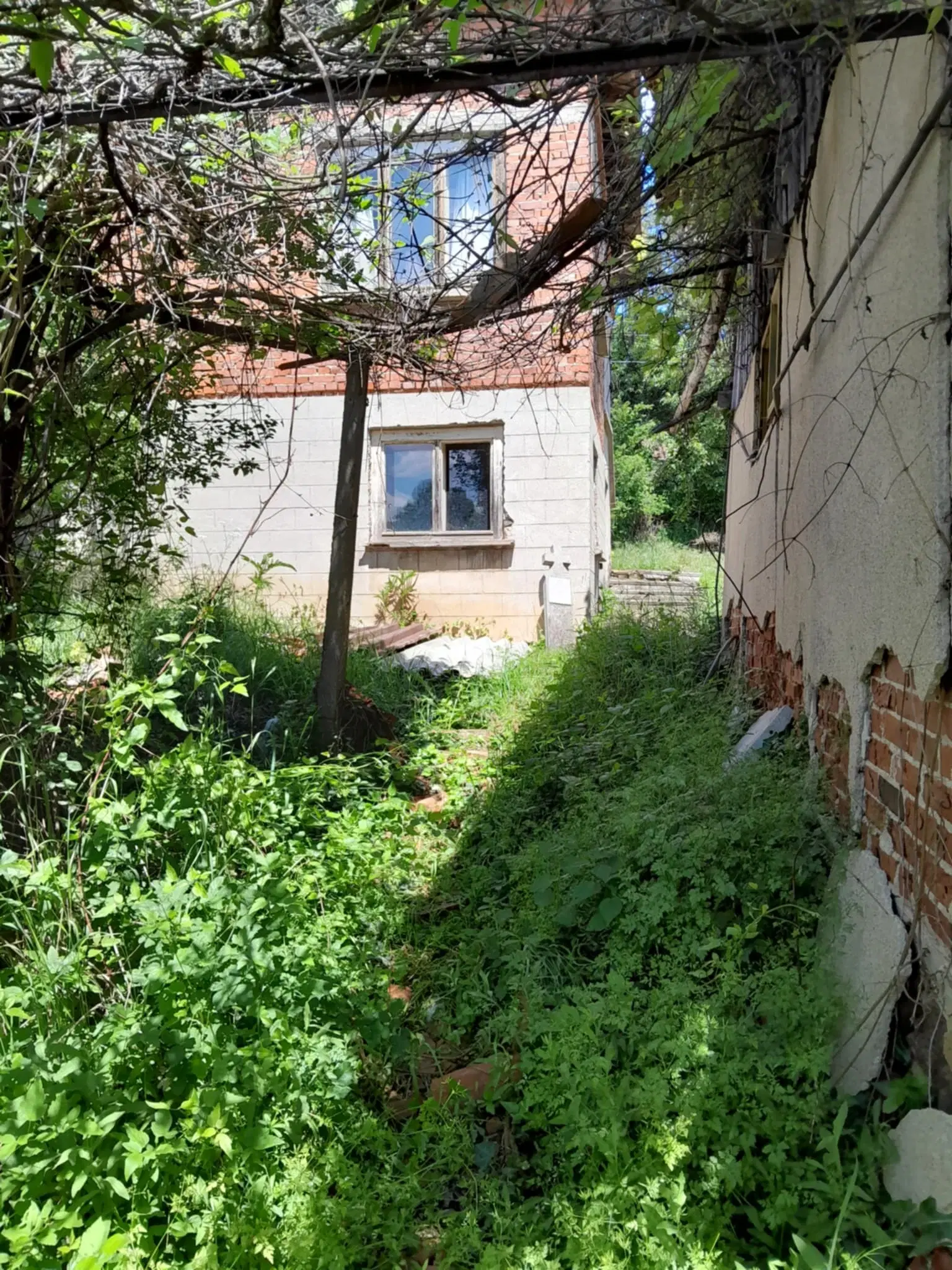 Eigendom aan de rivier met 2 huizen, bijgebouw en 1.100 m² grond in Podgore, Vidin - Bulgarije