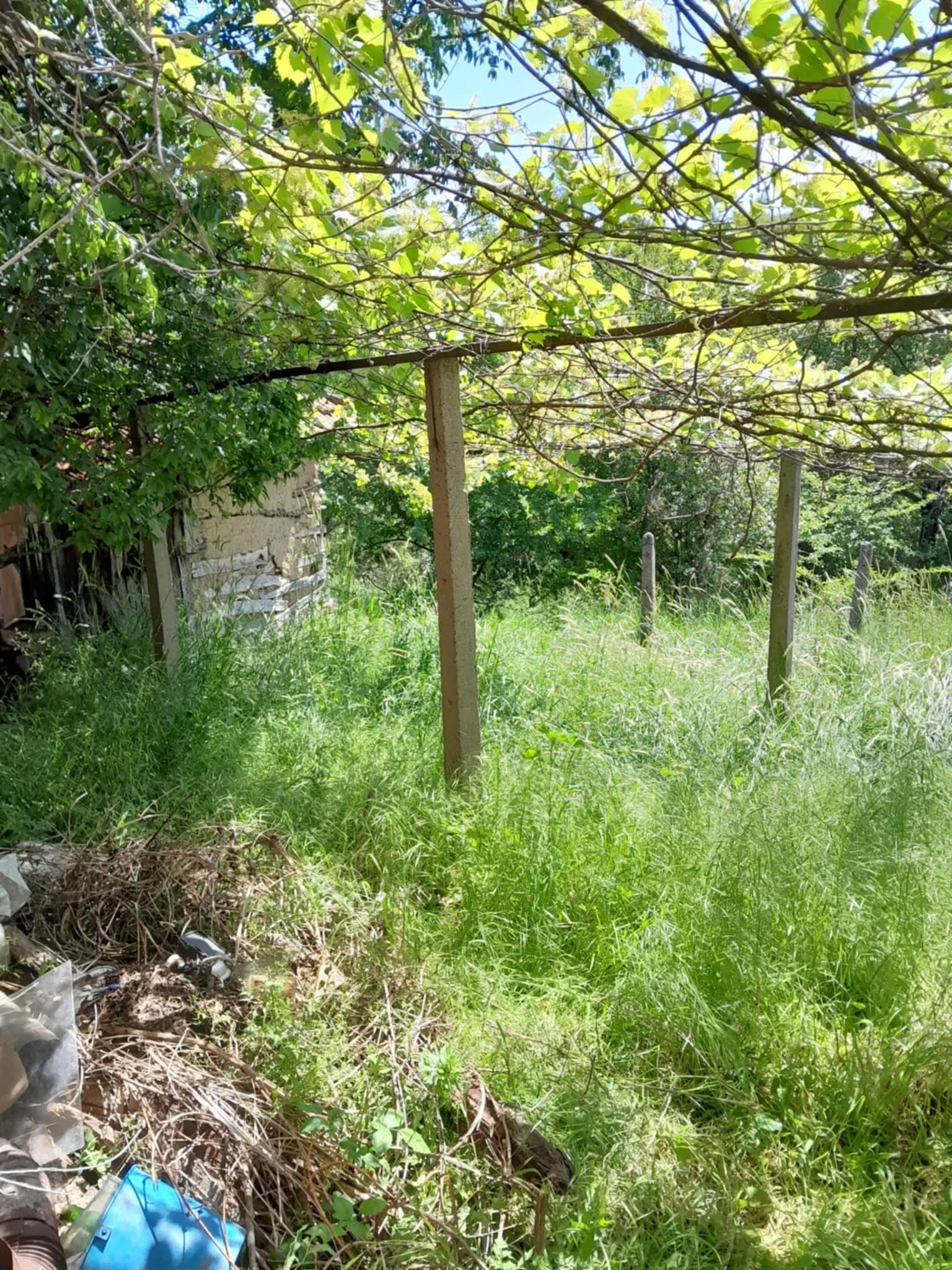 Eigendom aan de rivier met 2 huizen, bijgebouw en 1.100 m² grond in Podgore, Vidin - Bulgarije