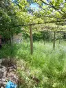 Eigendom aan de rivier met 2 huizen, bijgebouw en 1.100 m² grond in Podgore, Vidin - Bulgarije
