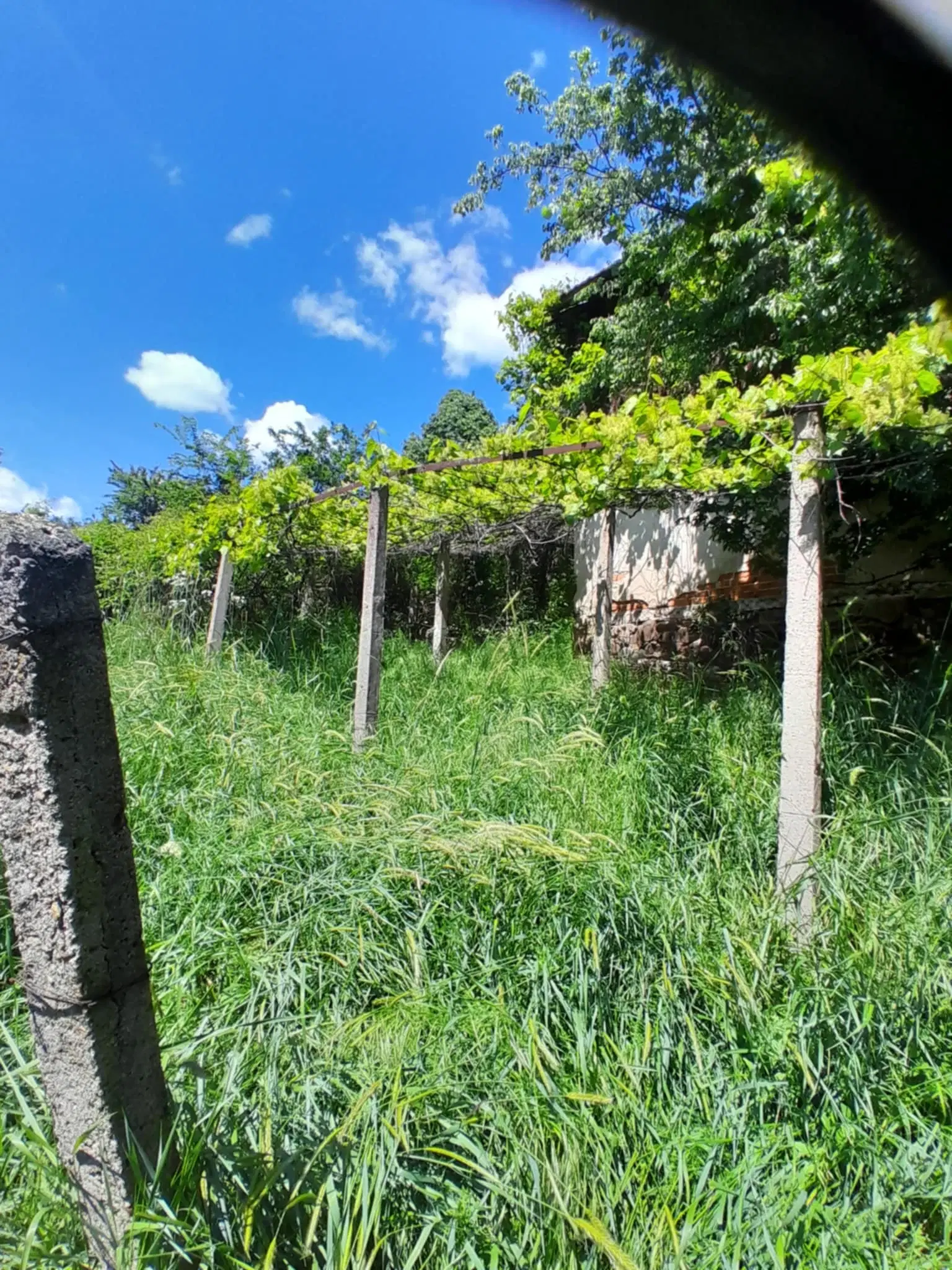 Eigendom aan de rivier met 2 huizen, bijgebouw en 1.100 m² grond in Podgore, Vidin - Bulgarije