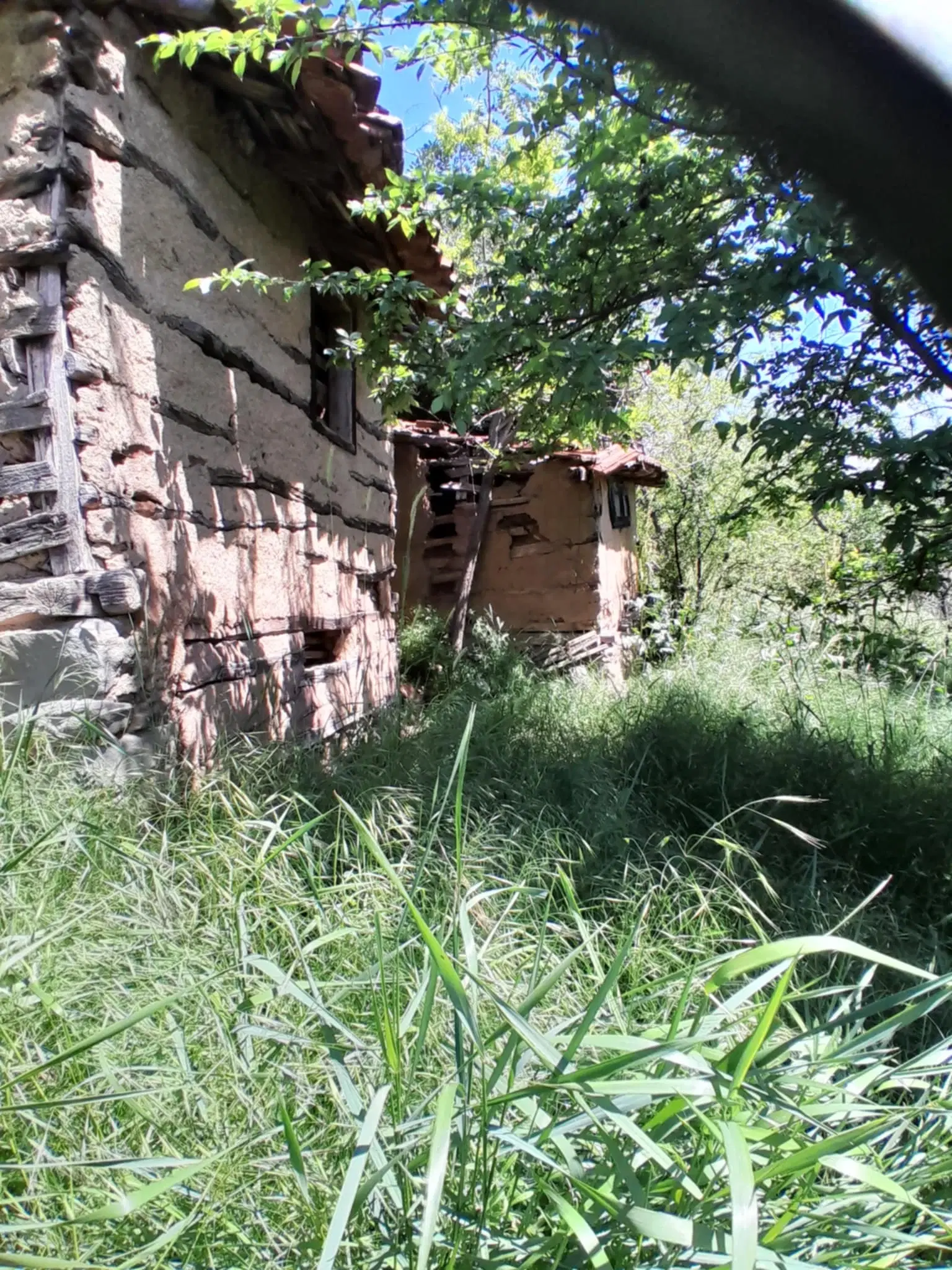 Eigendom aan de rivier met 2 huizen, bijgebouw en 1.100 m² grond in Podgore, Vidin - Bulgarije