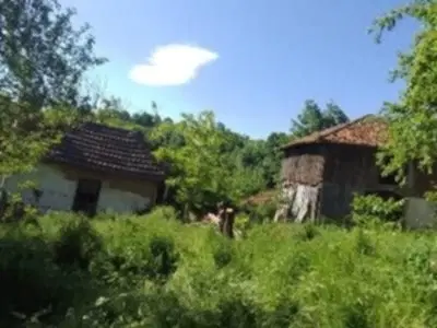 Eigendom aan de rivier met 2 huizen, bijgebouw en 1.100 m² grond in Podgore, Vidin - Bulgarije