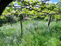 Eigendom aan de rivier met 2 huizen, bijgebouw en 1.100 m² grond in Podgore, Vidin - Bulgarije