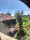 Eigendom aan de rivier met 2 huizen, bijgebouw en 1.100 m² grond in Podgore, Vidin - Bulgarije