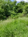 Eigendom aan de rivier met 2 huizen, bijgebouw en 1.100 m² grond in Podgore, Vidin - Bulgarije