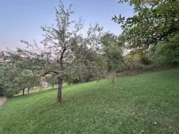 Eigendomsperceel met appelboomgaard, ca. 990 m² in Röttingen, Bayern - Duitsland