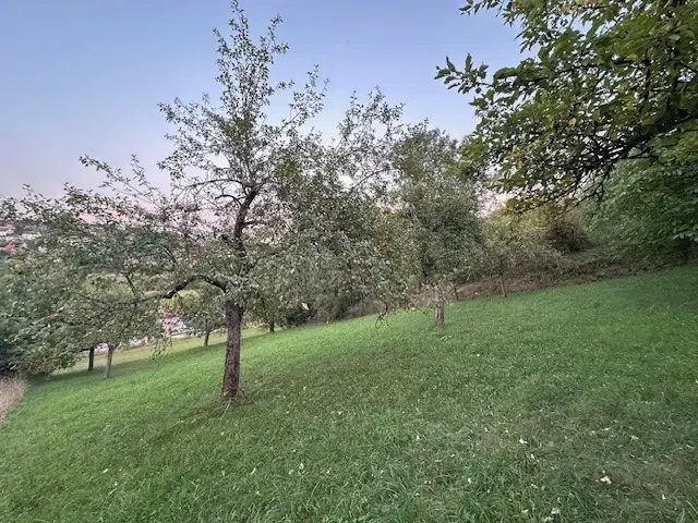 Eigendomsperceel met appelboomgaard, ca. 990 m² in Röttingen, Bayern - Duitsland