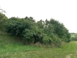 Eigendomsperceel met appelboomgaard, ca. 990 m² in Röttingen, Bayern - Duitsland