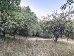 Eigendomsperceel met appelboomgaard, ca. 990 m² in Röttingen, Bayern - Duitsland