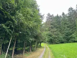 Gasthuis met restaurant in Leuchtenberg, nabij Nürnberg - Duitsland