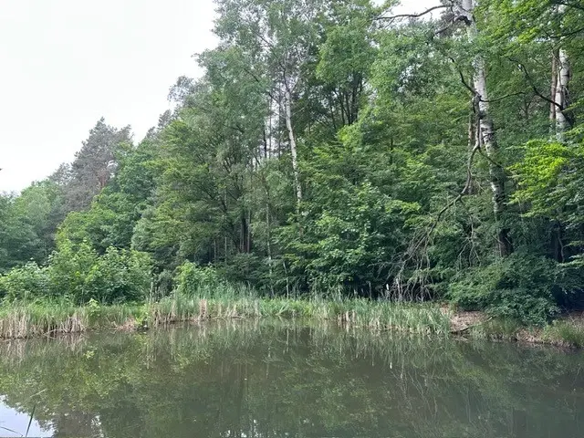 Gasthuis met restaurant in Leuchtenberg, nabij Nürnberg - Duitsland