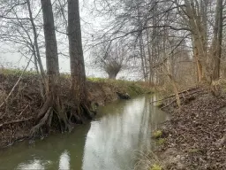 Off grid perceel ca. 505 m² in Mügeln, Saksen - Duitsland