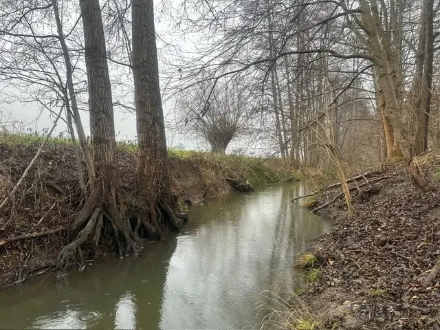 Off grid perceel ca. 505 m² in Mügeln, Saksen - Duitsland