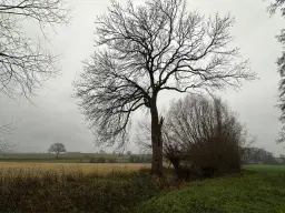 Off grid perceel ca. 505 m² in Mügeln, Saksen - Duitsland