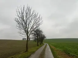 Off grid perceel ca. 505 m² in Mügeln, Saksen - Duitsland