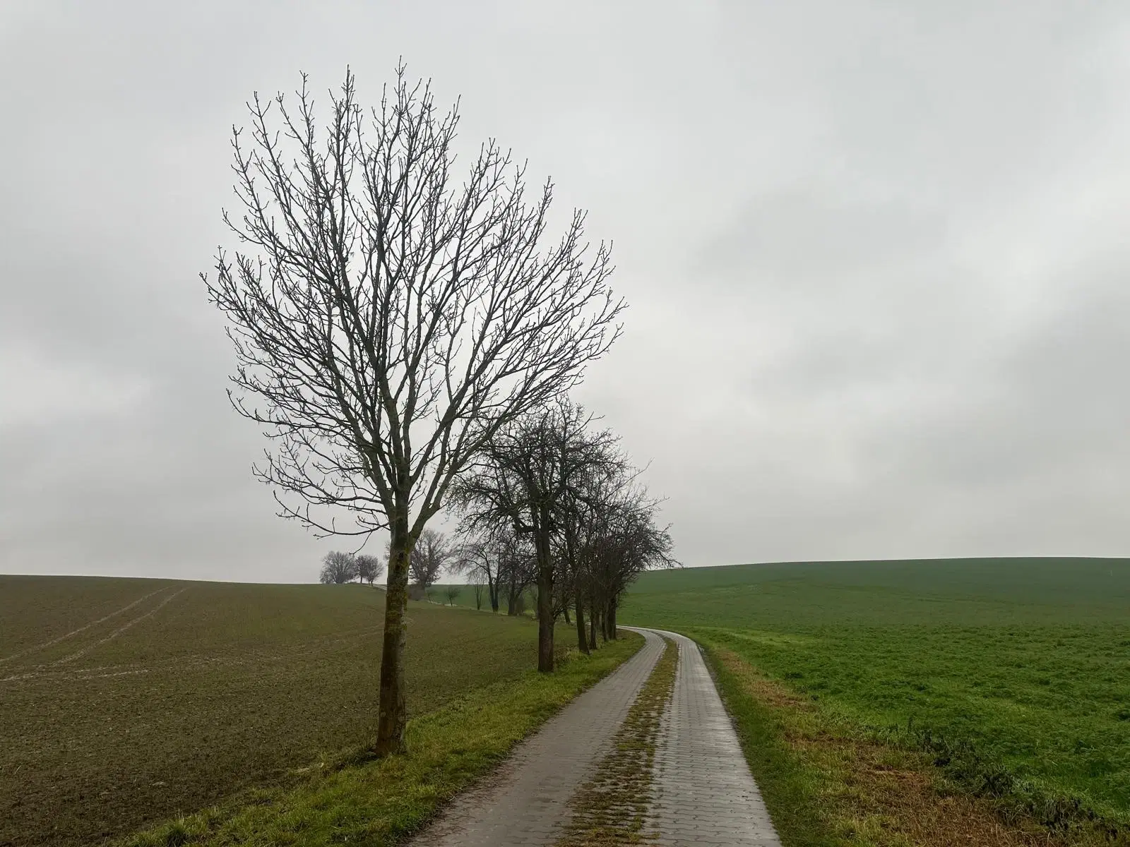 Off grid perceel ca. 505 m² in Mügeln, Saksen - Duitsland