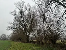 Off grid perceel ca. 505 m² in Mügeln, Saksen - Duitsland