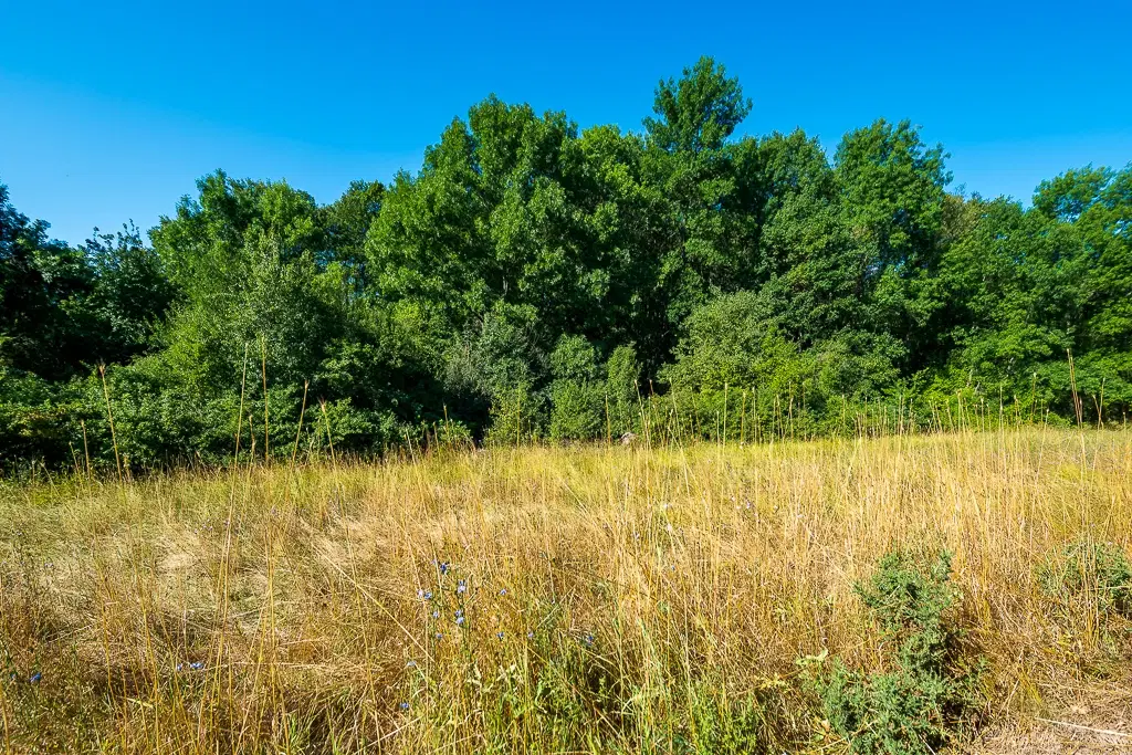 6.100 m² Bosgrond (één perceel) in Kula - Bulgarije