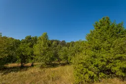 6.100 m² Bosgrond (één perceel) in Kula - Bulgarije