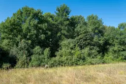 6.100 m² Bosgrond (één perceel) in Kula - Bulgarije