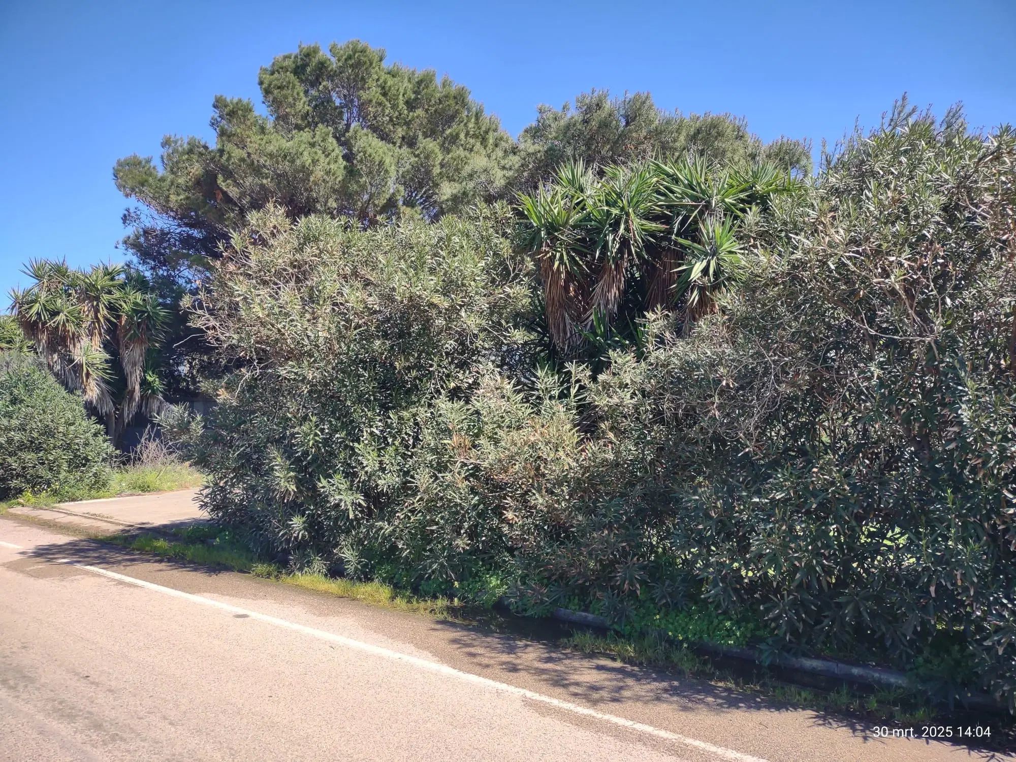 Industrieterrein met loods in het havengebied van Porto Torres (SS), Sardinië - Italië