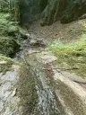 Bosgrond 370 m² in Cochem - Duitsland