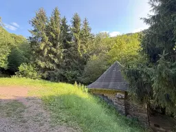 Bosgrond 370 m² in Cochem - Duitsland
