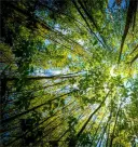 Bosgrond 71.985 m² in Vasilyovo, Lovech - Bulgarije