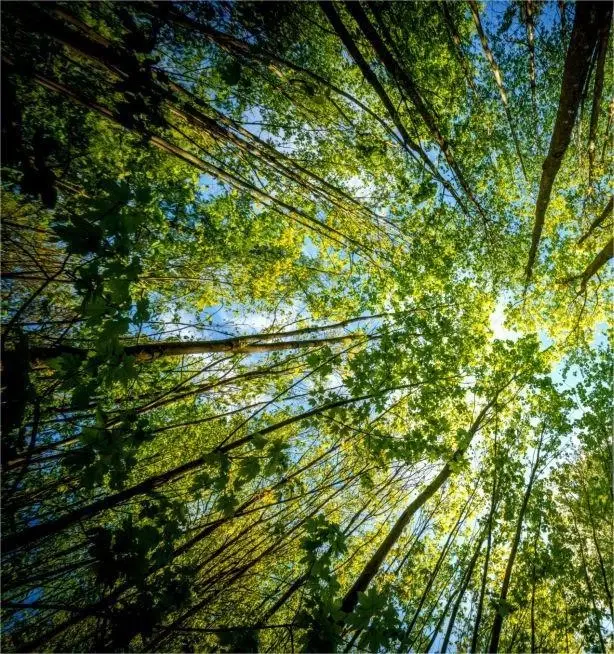 Bosgrond 71.985 m² in Vasilyovo, Lovech - Bulgarije