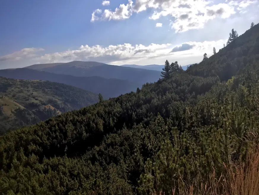 Bosgrond 71.985 m² in Vasilyovo, Lovech - Bulgarije