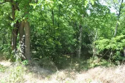 Bosgrond 71.985 m² in Vasilyovo, Lovech - Bulgarije