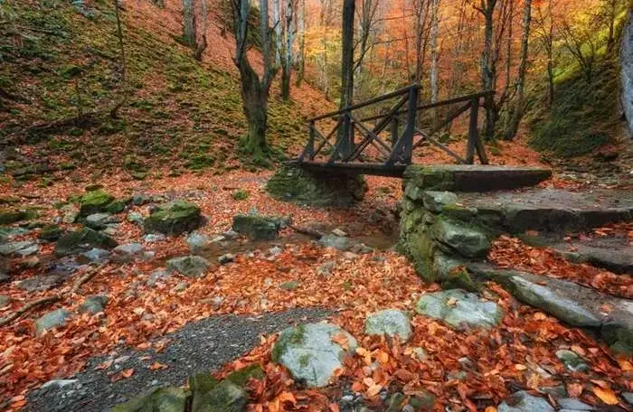 Bosgrond 71.985 m² in Vasilyovo, Lovech - Bulgarije