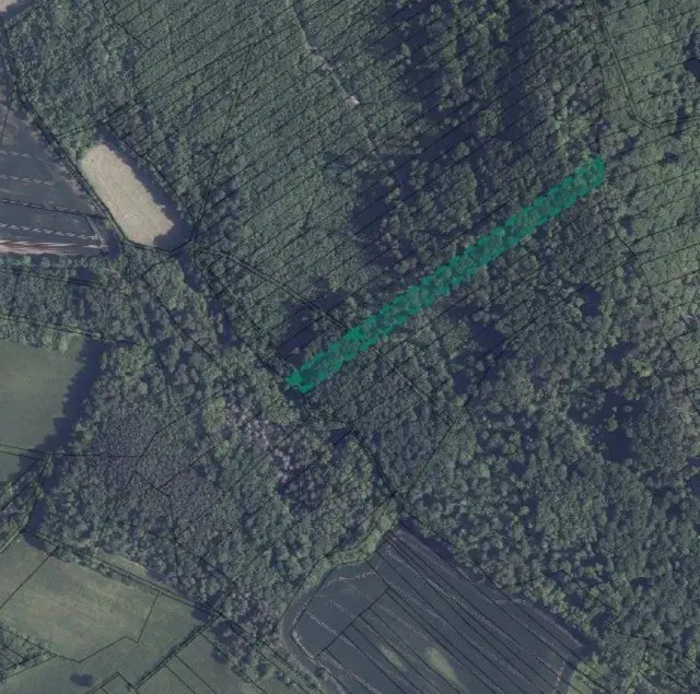 Ca. Hectare eigendoms perceel Bosgrond te Kirchohmfeld - Duitsland