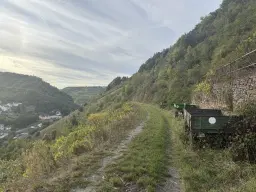 Voormalige wijngaarden 840 m², mogelijkheid tot herontwikkeling in Zell - Duitsland