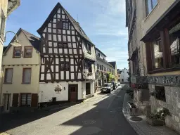 Voormalige wijngaarden 840 m², mogelijkheid tot herontwikkeling in Zell - Duitsland