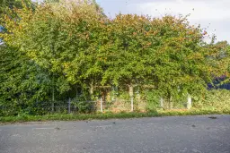 Wijdenes, Noorderuitweg 42